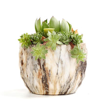 Load image into Gallery viewer, Marbling Ceramic Planter Set 4 pc