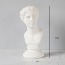 Load image into Gallery viewer, Ancient Figures Neoclassical Vases and Planters