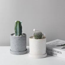 Load image into Gallery viewer, Marble Small Planter with Plate