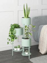 Load image into Gallery viewer, Multilevel Metal Planter & Organizer