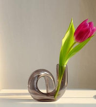 Load image into Gallery viewer, In the Loop Hydroponic Vase