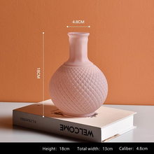 Load image into Gallery viewer, Ciela Colored Frosted Glass Vase