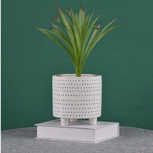 Load image into Gallery viewer, Textured Dot Footed Ceramic Planters