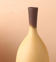 Load image into Gallery viewer, Provence Soft Gradient Vases