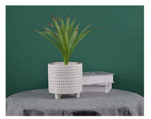 Load image into Gallery viewer, Textured Dot Footed Ceramic Planters