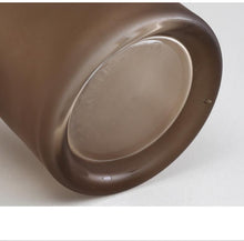 Load image into Gallery viewer, Frosted Blown Glass Vase