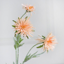 Load image into Gallery viewer, Barberton Daisy Chrysanthemum Silk Simulation Flower - BestVase
