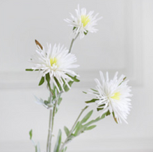 Load image into Gallery viewer, Barberton Daisy Chrysanthemum Silk Simulation Flower - BestVase
