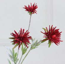 Load image into Gallery viewer, Barberton Daisy Chrysanthemum Silk Simulation Flower - BestVase
