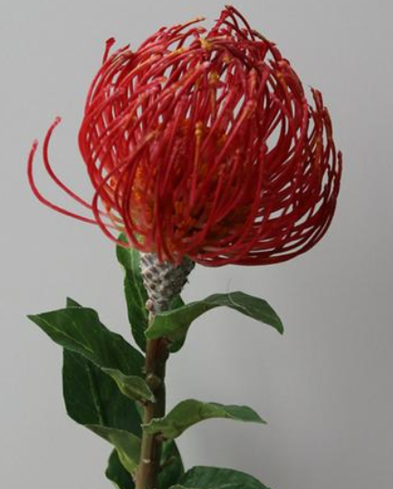 Leucospermum Silk Flower Simulation Flower for Wedding Party - BestVase