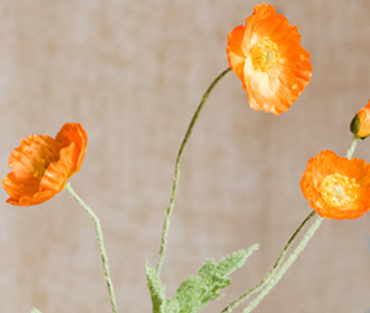 Poppy Flower,Remembrance Poppy,Silk Flower,Simulation Flower,Artificial  Flower for Wedding,Party,Decor,Cut Flowers,Home décor,Loyal Love –  BestVase