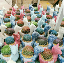 Load image into Gallery viewer, Alpaca Llama Vicuna Aipacos Ceramics Succulent Pots Mini Cute Flower Pots Small Vase Home Garden Balcony Decoration Planter - BestVase
