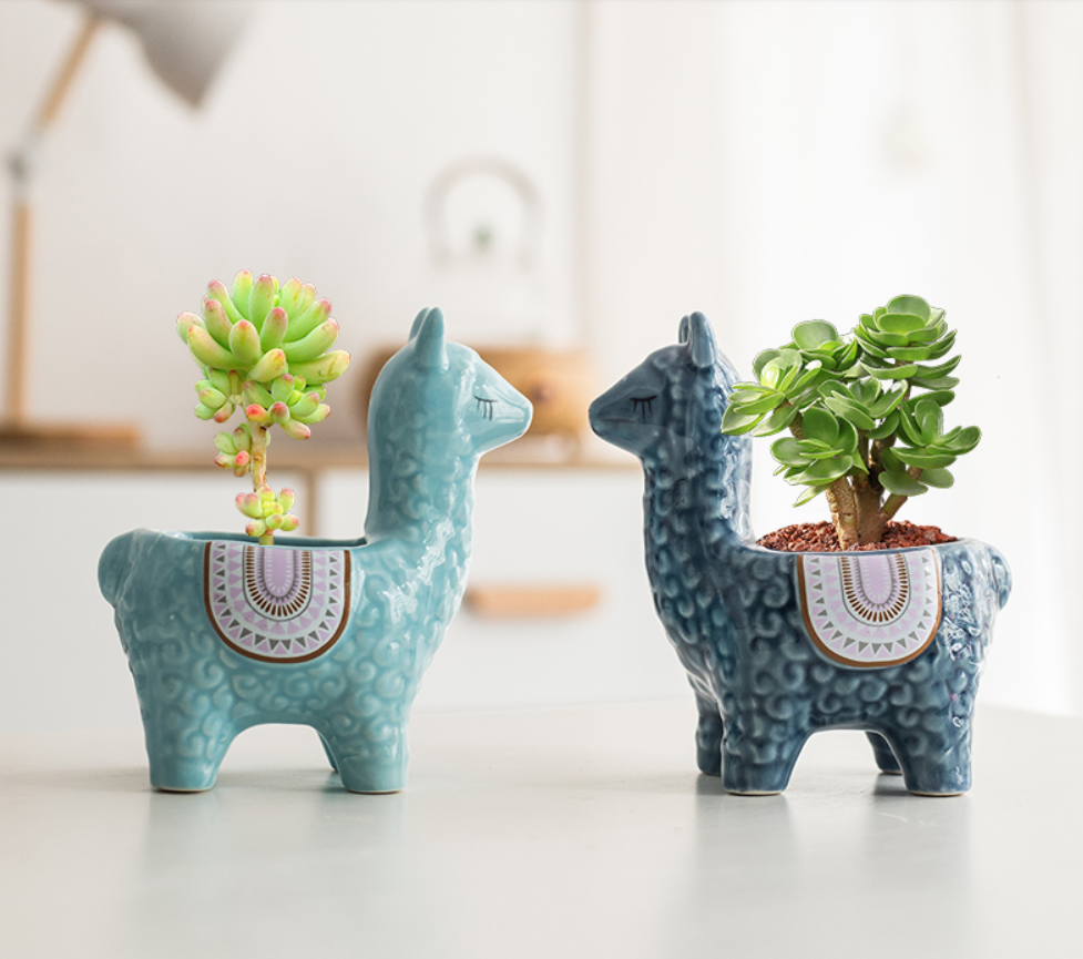 llama succulent planter Alpaca Llama Ceramics Succulent Planter – BestVase