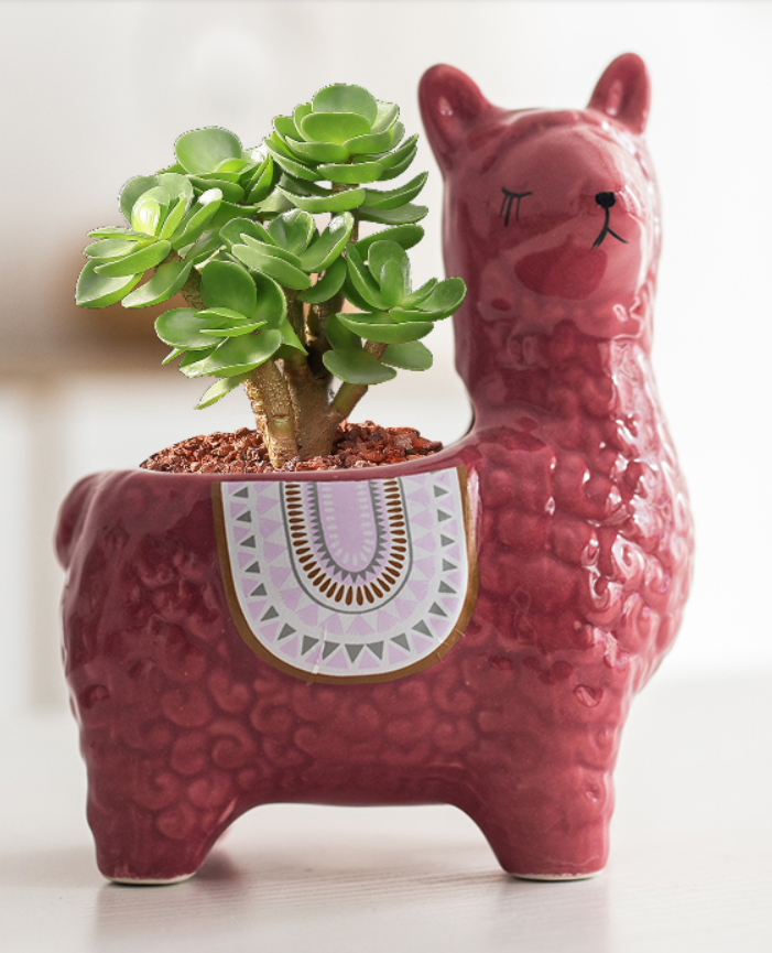 llama pot planter Alpaca Llama Ceramics Succulent Planter – BestVase