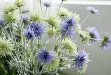 Load image into Gallery viewer, Barberton Daisy Chrysanthemum Silk Simulation Flower - BestVase
