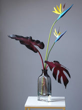 Load image into Gallery viewer, Bright and Shining Glass Vase Clean Pure Transparent - BestVase
