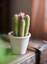 Load image into Gallery viewer, Artificial Cactus Little Stems Potting Tropical Desert Plant Pot Culture Window Decoration - BestVase
