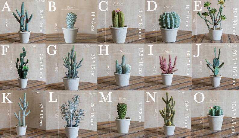 Artificial Cactus Little Stems Potting Tropical Desert Plant Pot Culture Window Decoration - BestVase