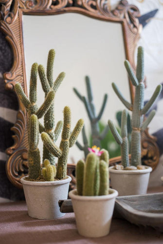 Artificial Cactus Little Stems Potting Tropical Desert Plant Pot Culture Window Decoration - BestVase