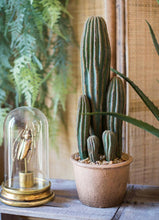 Load image into Gallery viewer, Artificial Cactus Rodlike Green Tree Stems Tropical Desert Plant Window Decoration - BestVase

