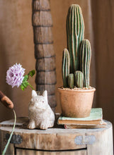 Load image into Gallery viewer, Artificial Cactus Rodlike Green Tree Stems Tropical Desert Plant Window Decoration - BestVase
