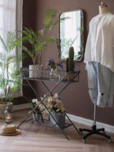 Load image into Gallery viewer, Artificial Cactus Rodlike Green Tree Stems Tropical Desert Plant Window Decoration - BestVase
