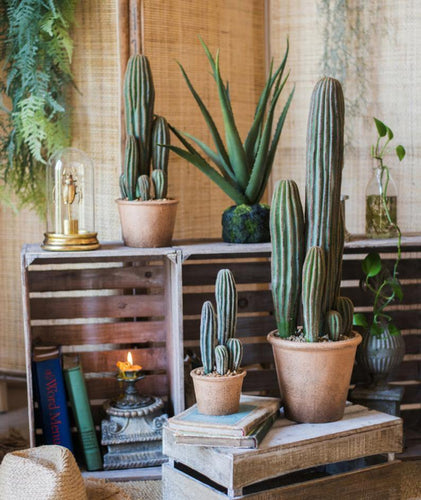 Artificial Cactus Rodlike Green Tree Stems Tropical Desert Plant Window Decoration - BestVase