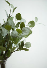 Load image into Gallery viewer, Eucalyptus Silk Flower Wedding Party Decor Home décor 3 Flowers &quot;Gift&quot; - BestVase
