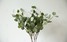 Load image into Gallery viewer, Eucalyptus Silk Flower Wedding Party Decor Home décor 3 Flowers &quot;Gift&quot; - BestVase
