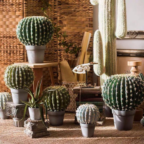 Artificial Cactus Global Elliptic Stems Tropical Desert Plant Window Decoration - BestVase