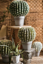 Load image into Gallery viewer, Artificial Cactus Global Elliptic Stems Tropical Desert Plant Window Decoration - BestVase
