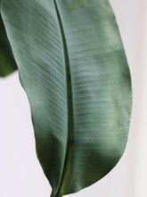 Load image into Gallery viewer, Greenery Monstera Leaf Banana Leaf Livistona Leaf Simulation Flower Artificial Plant - BestVase
