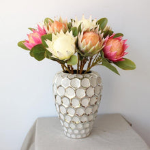 Load image into Gallery viewer, King Protea Protea Cynaroides National flower of South Africa - BestVase
