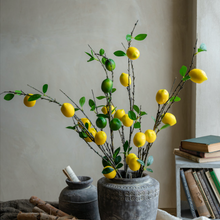Load image into Gallery viewer, Lemon branch Lime Silk Flower ”Sentimental love“Immature Love&quot;”Green Love - BestVase
