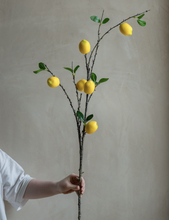 Load image into Gallery viewer, Lemon branch Lime Silk Flower ”Sentimental love“Immature Love&quot;”Green Love - BestVase
