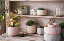 Load image into Gallery viewer, Mini Succulent Pots With Wooden Leg Cement Flower Vase Planter Cute Fleshy Art Cylindrical Simple Style Planter Garden Balcony Decoration - BestVase

