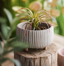 Load image into Gallery viewer, Mini Succulent Pots With Wooden Leg Cement Flower Vase Planter Cute Fleshy Art Cylindrical Simple Style Planter Garden Balcony Decoration - BestVase
