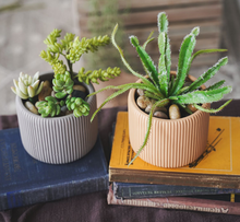 Load image into Gallery viewer, Morandi Color Flower Succulent Pots Colorful Mini Vase Cute Fleshy Art Cylindrical Simple Style Planter Garden Balcony Decoration - BestVase
