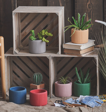 Load image into Gallery viewer, Morandi Color Flower Succulent Pots Colorful Mini Vase Cute Fleshy Art Cylindrical Simple Style Planter Garden Balcony Decoration - BestVase
