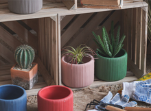 Load image into Gallery viewer, Morandi Color Flower Succulent Pots Colorful Mini Vase Cute Fleshy Art Cylindrical Simple Style Planter Garden Balcony Decoration - BestVase
