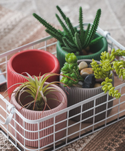 Load image into Gallery viewer, Morandi Color Flower Succulent Pots Colorful Mini Vase Cute Fleshy Art Cylindrical Simple Style Planter Garden Balcony Decoration - BestVase
