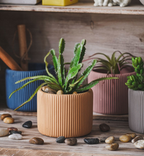 Load image into Gallery viewer, Morandi Color Flower Succulent Pots Colorful Mini Vase Cute Fleshy Art Cylindrical Simple Style Planter Garden Balcony Decoration - BestVase
