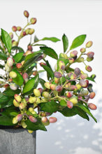 Load image into Gallery viewer, Olive Branch Silk Flower “Peace Love”"Good Luck""new opportunity" - BestVase
