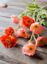Load image into Gallery viewer, Poppy Flower,Remembrance Poppy Silk Flower Simulation Flower Artificial Flower for Wedding Party Decor - BestVase
