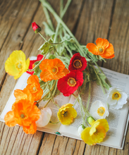 Load image into Gallery viewer, Poppy Flower,Remembrance Poppy Silk Flower Simulation Flower Artificial Flower for Wedding Party Decor - BestVase
