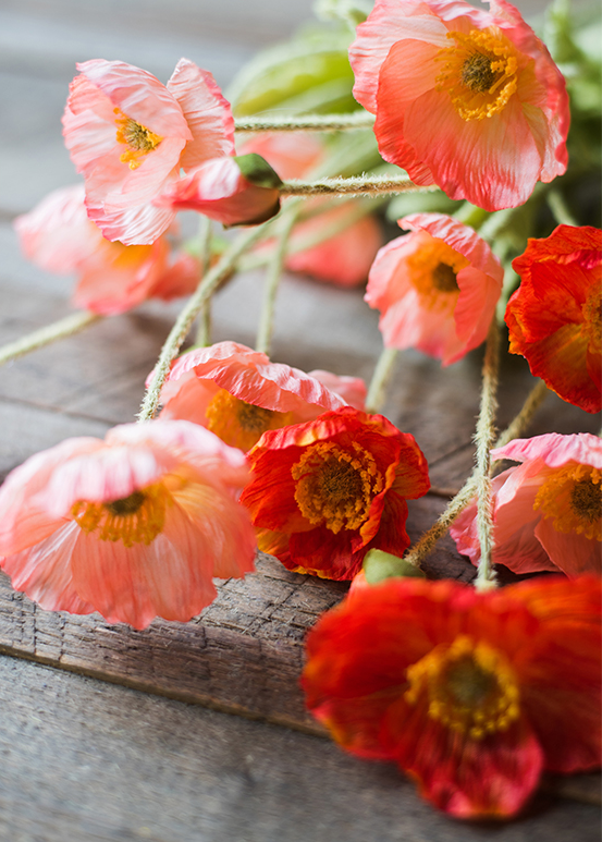  RelatoHolife Artificial Poppy Silk Flowers for Winter