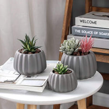 Load image into Gallery viewer, Succulent Plant Pots Squash Pumpkin Style Cute Mini Fleshy Flower Pots - BestVase
