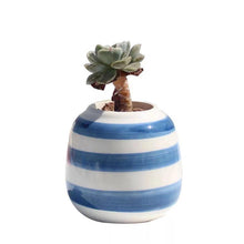 Load image into Gallery viewer, White and Blue Succulent Pots Terse Style Porcelain Thumb vase - BestVase
