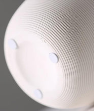 Load image into Gallery viewer, Diva Ceramic Tabletop Vase
