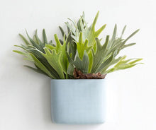 Load image into Gallery viewer, Zane Wall Planters
